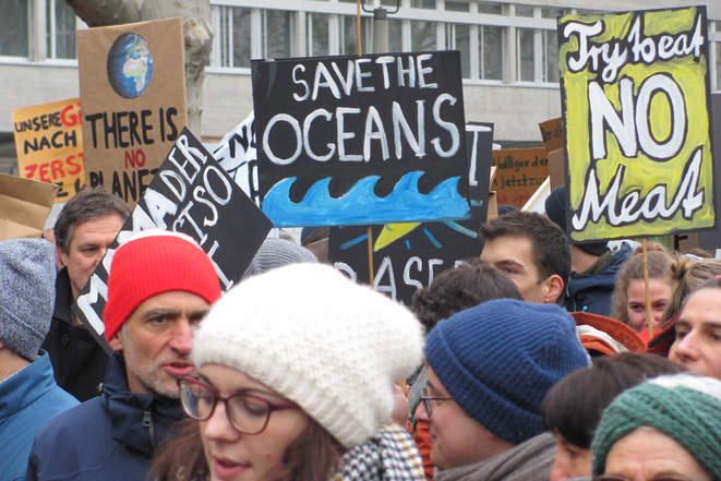 Segni su una manifestazione: «Save the oceans»,  «Try to eat NO meat»